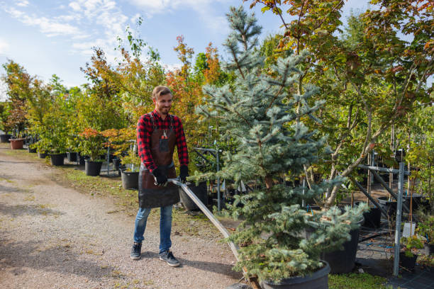 Best Lawn Maintenance Plans  in Easton, MD